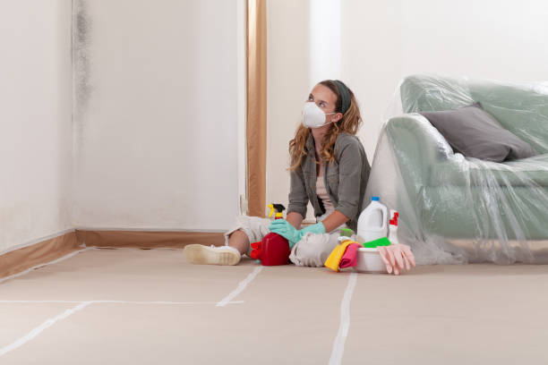 Reliable Commercial Mold Remediation contractor in West Hempstead, NY by WQB Mold Removal